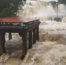 திற்பரப்பு அருவியில் குளிக்க 4 வது நாளாகத் தடை!