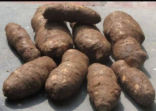 கருணை கிழங்கை அடிக்கடி உணவில் சேர்த்து வந்தால் என்னென்ன நன்மைகள் கிடைக்கும் தெரியுமா?