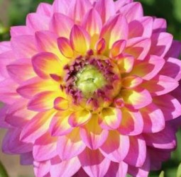 பூக்கின்ற மலரெல்லாம்