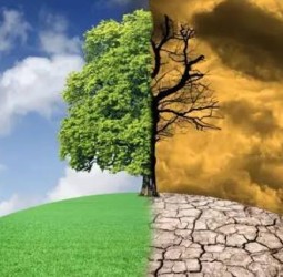 காலநிலை மாற்றம் குறித்த ஆய்வகம் அமைக்கும் பணியை துவக்கியது அரசு