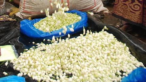 தொடர் பனி, மழை எதிரொலி: மதுரையில் ஒரு கிலோ மல்லிகைப்பூ ரூ.4,500-க்கு விற்பனை