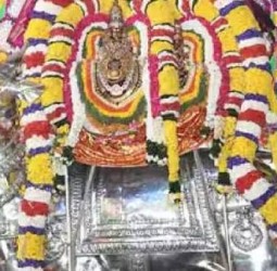 அண்ணாமலையார் கோயிலில் வெள்ளி யானை வாகனத்தில் உலா வந்த சுவாமி – தாயார்!