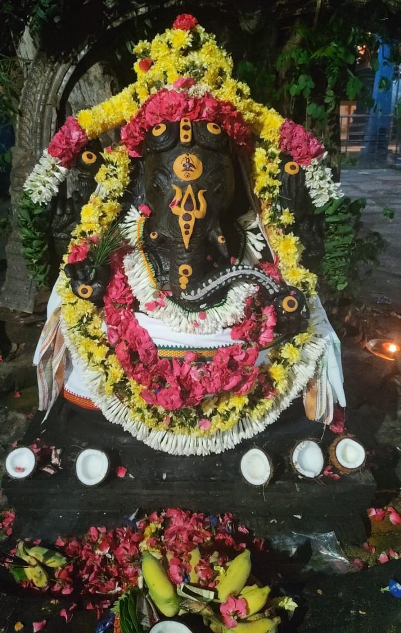 சங்கடஹர சதுர்த்தி விழா....