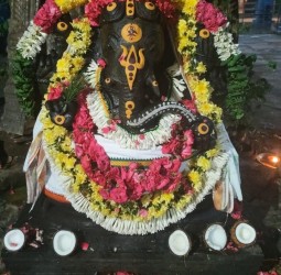 சங்கடஹர சதுர்த்தி விழா....