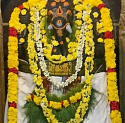 மஹா சங்கடஹர சதுர்த்தி சிறப்பு வழிபாடு....