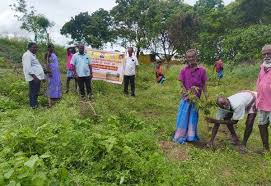 வலங்கைமானில் 2700 மரக்கன்றுகள் நடும் பணி துவக்கம்.