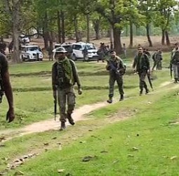 ஆந்திரத்தில் ஒருங்கிணைந்த நடவடிக்கை: 50 மாவோயிஸ்ட்கள் கைது!