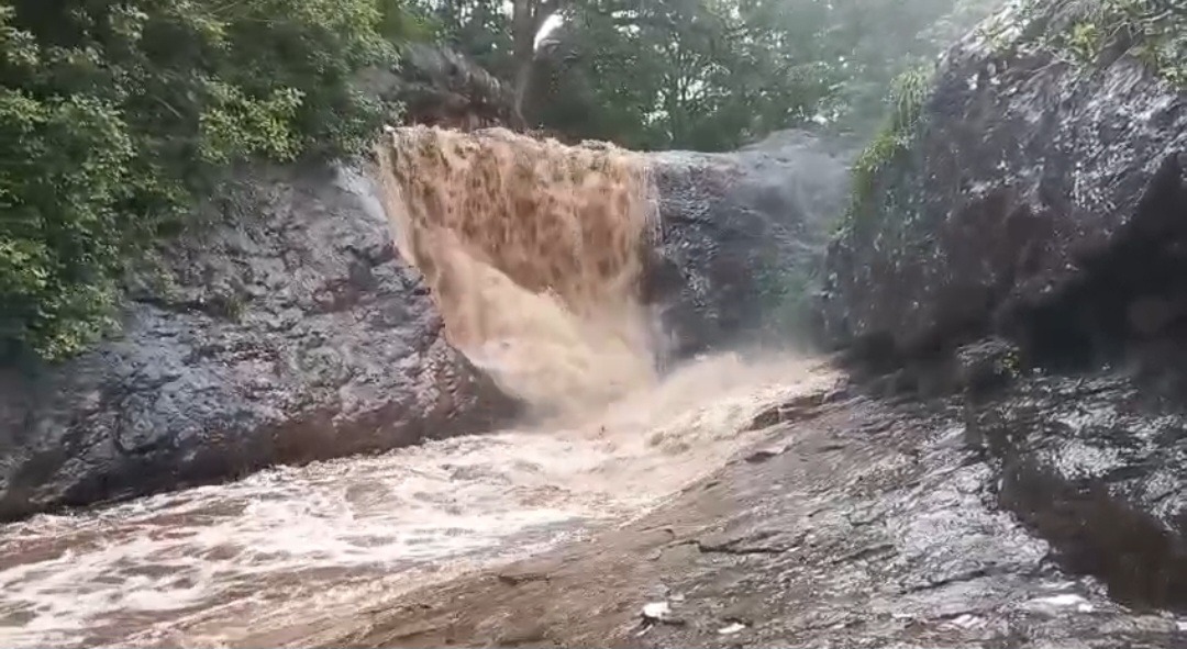 தொடர்மழை காரணமாக செண்பகத்தோப்பு மீன்வெட்டிப்பாறை அருவியில் வெள்ளப்பெருக்கு