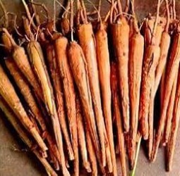 பனங்கிழங்கு