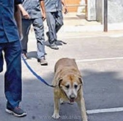 சென்னையில் 37 துணை தூதரகங்களுக்கு வெடிகுண்டு மிரட்டல்