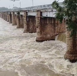 தொடர் மழையால் தாமிரபரணி ஆற்றில் வெள்ளப் பெருக்கு