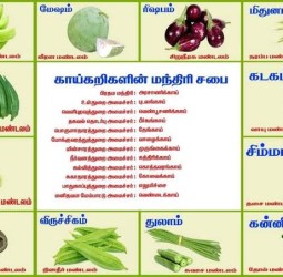 மருந்து மாத்திரைகள் எதுவும் இல்லாமல் வாழ் நாள் முழுவதும் ஆரோக்கியமாக வாழ*