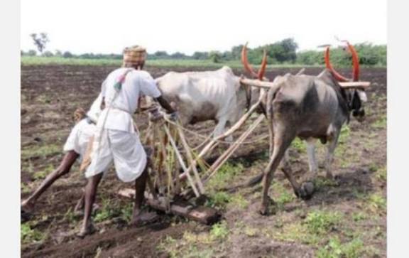 வேளாண்மை, கல்வி, சுகாதாரம் உள்ளிட்ட 8 பிரிவுகளில் சேவை புரிந்தோர் ராஜஸ்தானி- – தமிழ் சேவா விருதுகளுக்கு விண்ணப்பிக்கலாம்