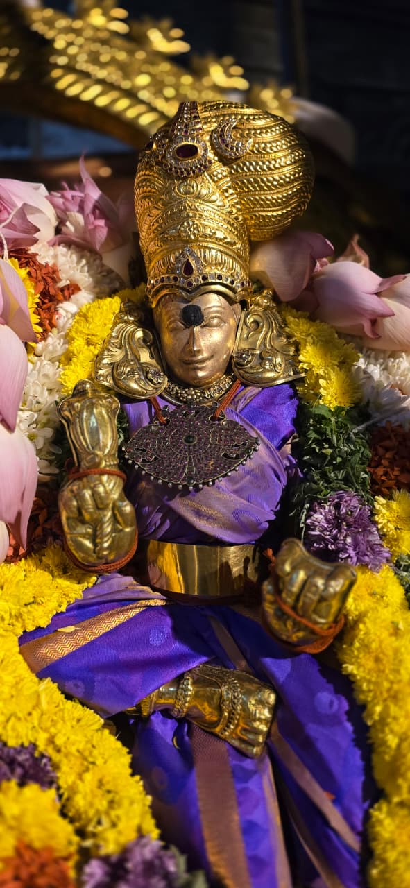 திருக்கார்த்திகை தீபத்திருவிழா-2025-மாலை-சுவாமி,அம்பாள் மரசிம்மாசனத்தில் திருக்கோயில் வலம்