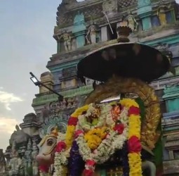 வந்தவாசியில் பிரதோஷ வழிபாடு...!*