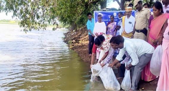 சிவகங்கை மாவட்ட நீர் நிலைகளில் மீன் குஞ்சுகள் இடும் நிகழ்வு
