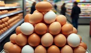 முட்டை விலை புதிய உச்சம்; காரணம் என்ன?