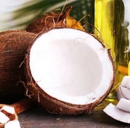 பித்தத்தை குறைக்கும் தேங்காய்