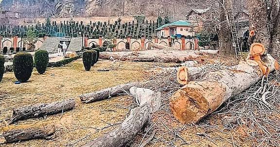 ம.பி.: ரயில்வே திட்டத்திற்காக வெட்டப்படும் 1.24 லட்சம் மரங்கள்!