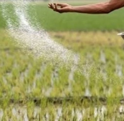 விவசாயம் அல்லாத தேவைகளுக்கு உரங்களை விற்றால் நடவடிக்கை: அதிகாரிகள் எச்சரிக்கை