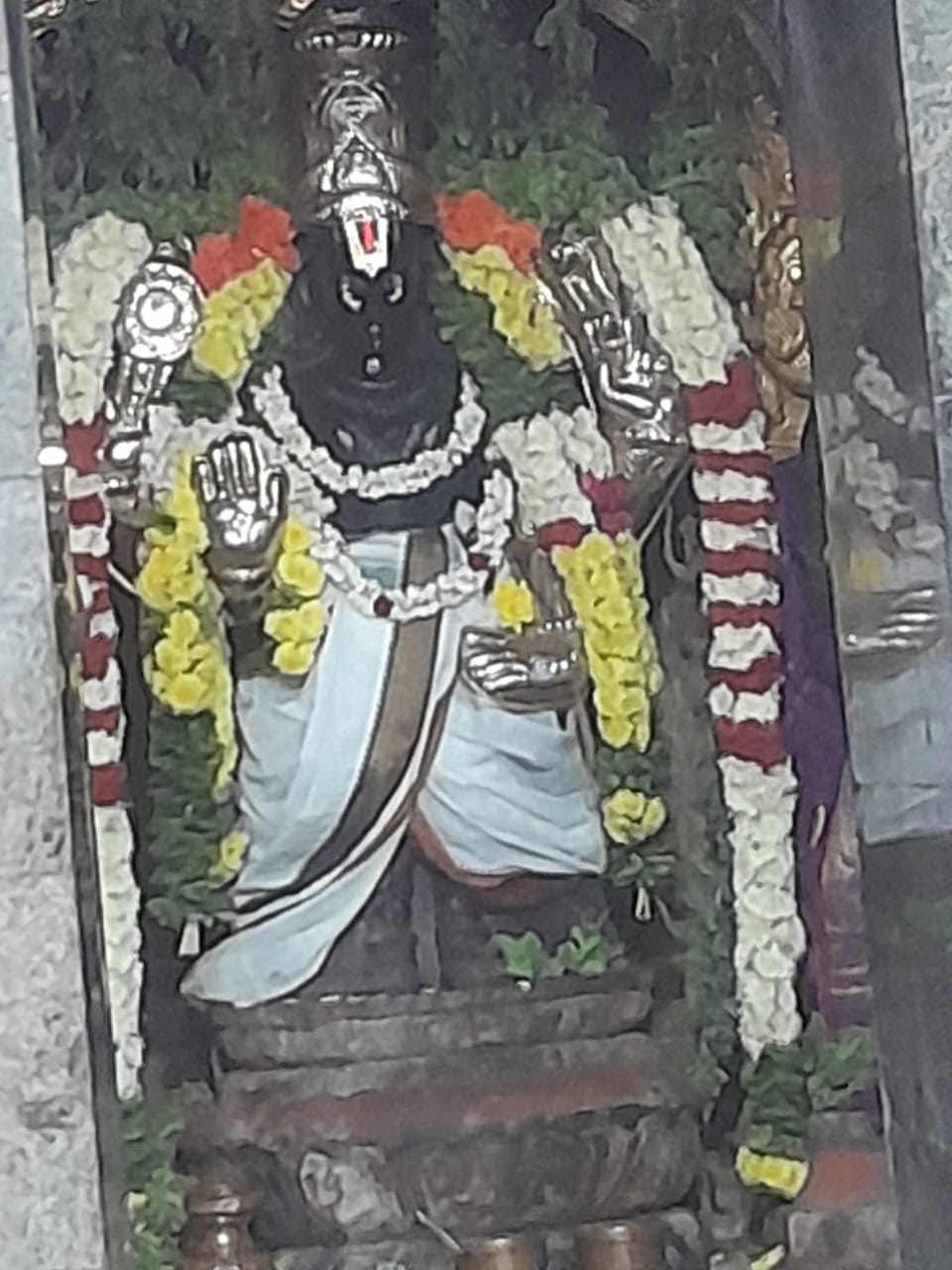 பழைய காட்பாடி ஸ்ரீ வரதராஜ பெருமாள் கோவிலில் கார்த்திகை சோமவார வழிபாடு!