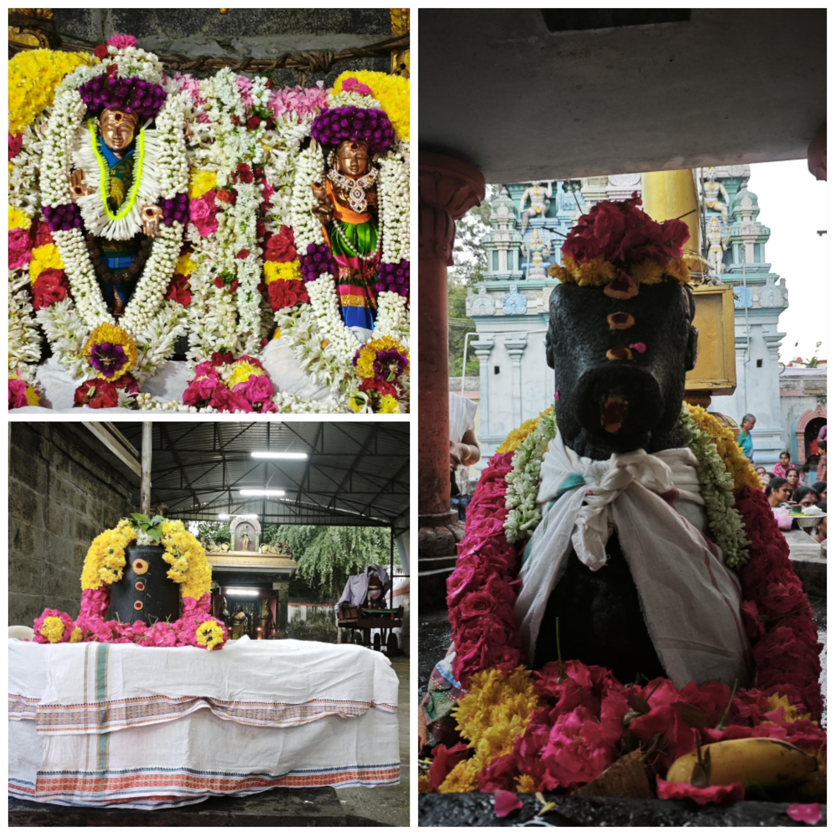 ஐப்பசி மாதம் வளர்பிறை பிரதோஷ வழிபாடு.