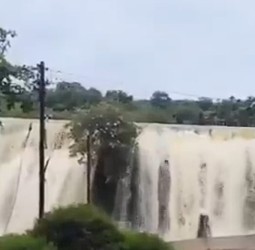 குமரி மாவட்டத்தில் தொடர் மழை காரணமாக கோதையாற்றில் வெள்ளப்பெருக்கு