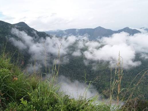 3 நாட்கள் 3 மாநிலங்கள்... மினிமம் பட்ஜெட்டில்... வயநாடு, ஊட்டி, பந்திப்பூர்! - கூடலூரின் இந்த பிளான் தெரியுமா?