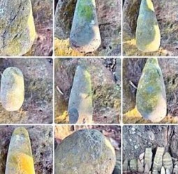 திருப்பத்தூர் மாவட்டம் ஜவ்வாது மலையில் 5,000 ஆண்டுகளுக்கு முந்தைய புதிய கற்கால கற்கருவிகள் கண்டெடுப்பு