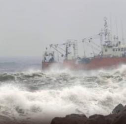 ஏழு மீட்டர் உயரத்துக்கு எழுந்த கடல்அலை‌.