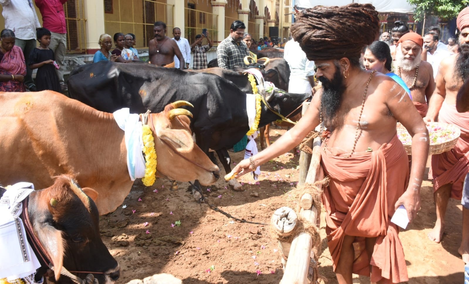 மயிலாடுதுறை தருமபுரம் திருமடத்தின் 27-வது குருமகா சந்நிதானம்