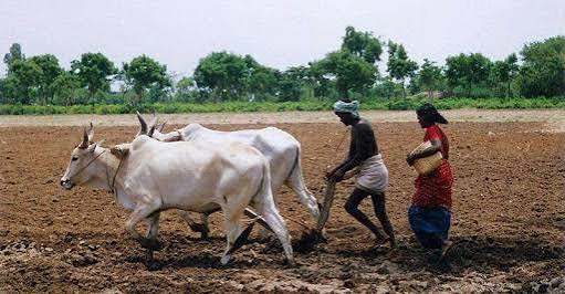 உழவுத் தொழில்