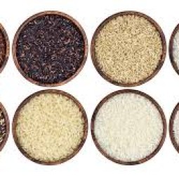 அரிசி சாதம் சாப்பிட்டதால்தான் சுகர் அதிகரிக்கும் நோய்கள் வரும் என்று ஏமாற்றி வைத்திருக்கிறார்கள் ஆங்கில மருத்துவர்கள்.