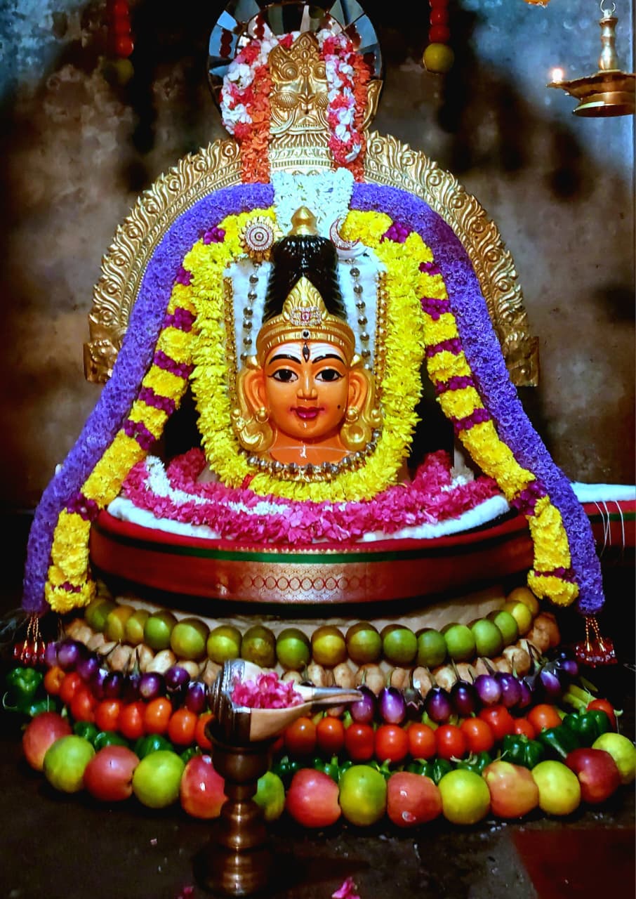 பூலோகநாதர் கோவிலில் நேற்று ஐப்பசி மாத அண்ணா அபிஷேகம்