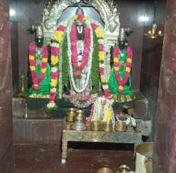 பெருமாளுக்கு சிறப்பு திருமஞ்சனம்