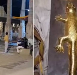 காஞ்சிபுரம் வரதராஜர் கோவிலில் ‘தங்க பல்லி’ மாயமானதாக புகார் - அறநிலையத்துறை மறுப்பு