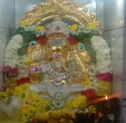 காட்பாடி ஸ்ரீ வரசித்தி விநாயகர் கோவிலில் சங்கடஹர சதுர்த்தி விழா