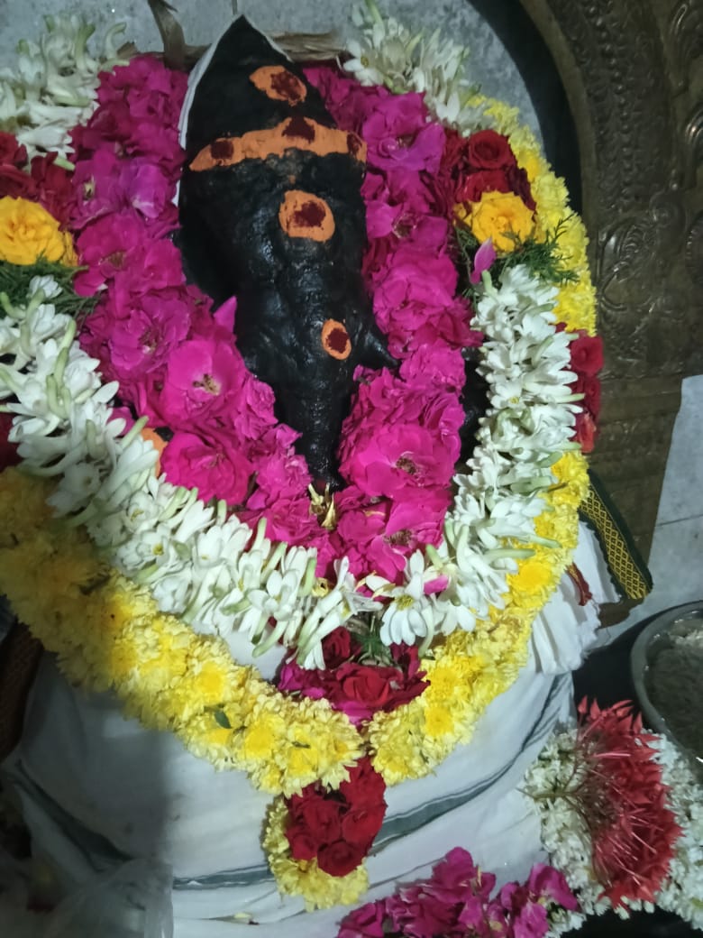 தமிழ்நாடு இபேப்பர் & பண்பலை மற்றும் தமிழாடிவி தெய்வம் இதழ் சார்பில் சங்ஹட ஹர சதுர்த்தி விழா!