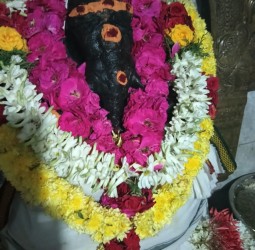 தமிழ்நாடு இபேப்பர் & பண்பலை மற்றும் தமிழாடிவி தெய்வம் இதழ் சார்பில் சங்ஹட ஹர சதுர்த்தி விழா!