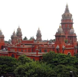 புதிய மினி பஸ் திட்டத்துக்கு தடை விதிக்க ஐகோர்ட்டு மறுப்பு