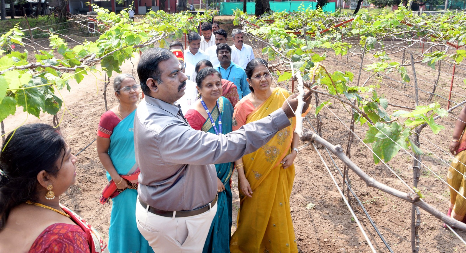 1 ஏக்கர் பரப்பளவில் அமைக்கப்பட்டுள்ள மாதிரி சோதனை பண்ணை