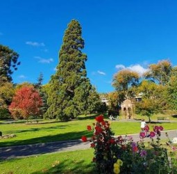 பூங்காற்றே...