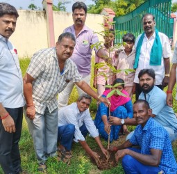 பள்ளி வளாகத்தில் மரக்கன்றுகள்