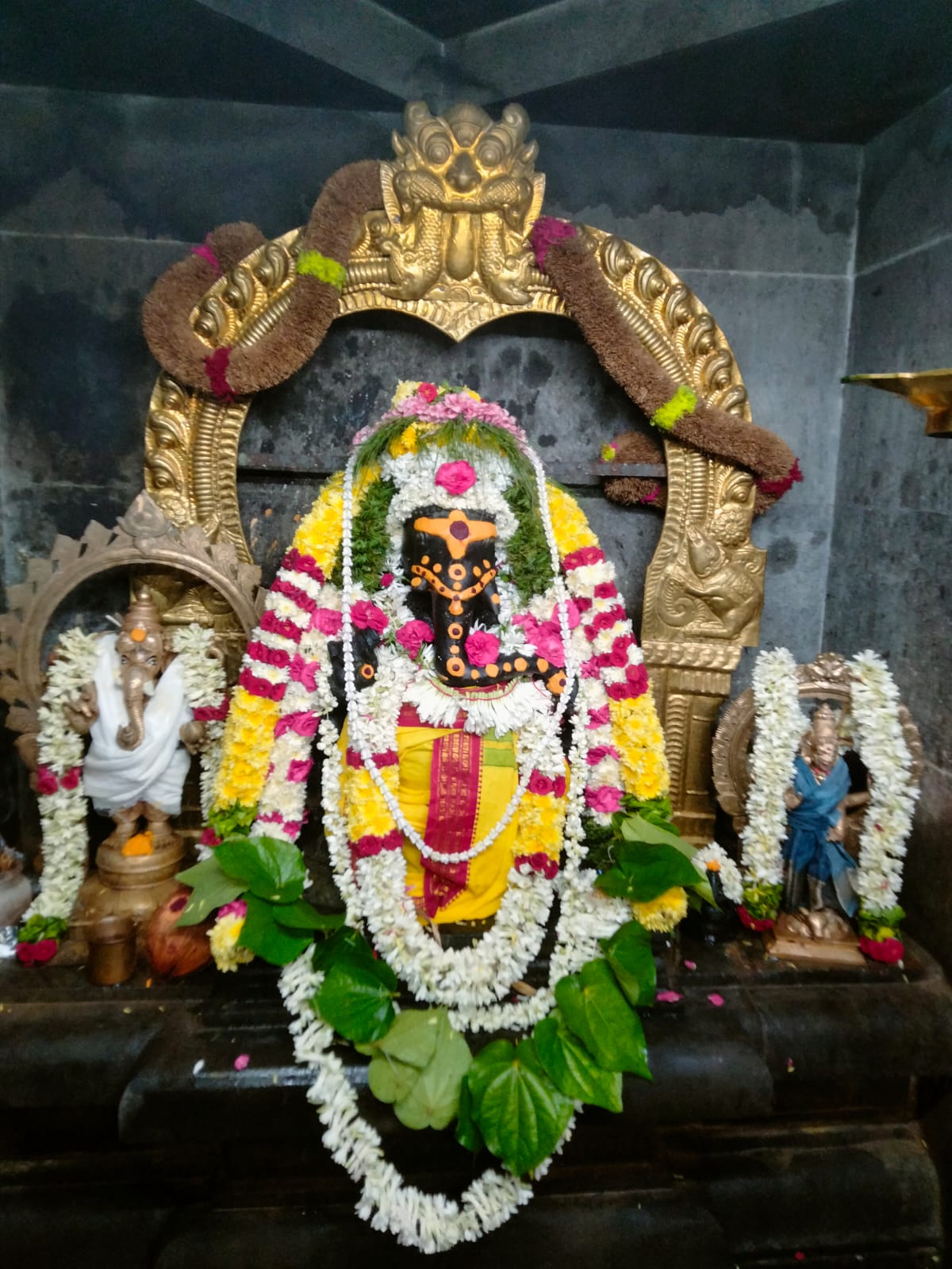 காட்பாடி கழிஞ்சூர் ஸ்ரீ செல்வ விநாயகர் ஆலயத்தில் சங்கடஹர சதுர்த்தி விழா!!