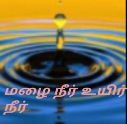 மழை நீர்! உயிர் நீர்!
