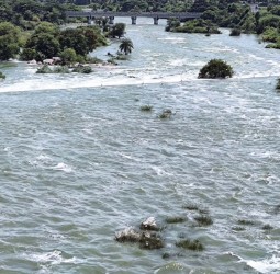 தென்பெண்ணை ஆற்றில் வெள்ளம்