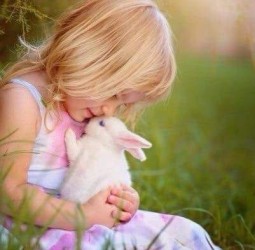 உச்சக்கட்ட கோபம்