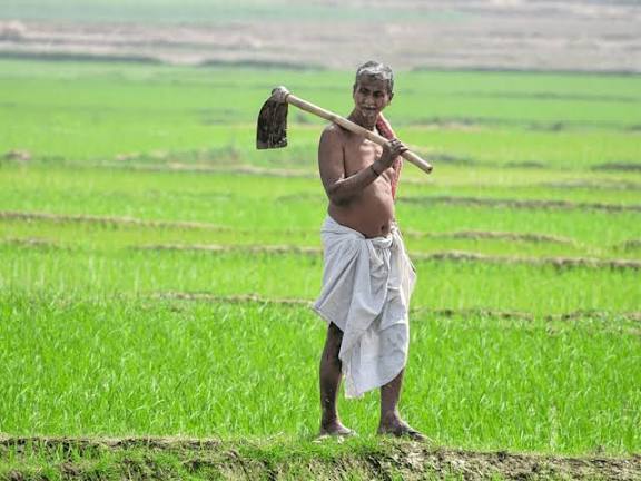 விவசாயிகளுக்கு பயிர் உற்பத்தி ஊக்கத்தொகை பட்டுவாடா