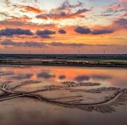 நகர்கிறது காட்சிகள்