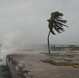 மெலிஸா புயல் : ஜமைக்காவில் கடும் சேதம்